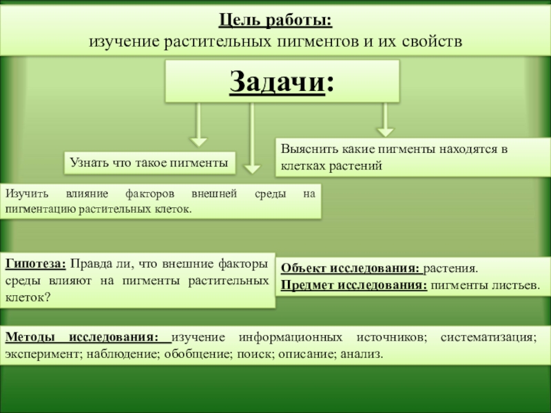 Проект изучение свойств растительных пигментов