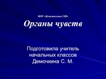 Органы чувств