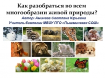 Презентация по биологии Как разобраться во всем многообразии живой природы (5 класс)