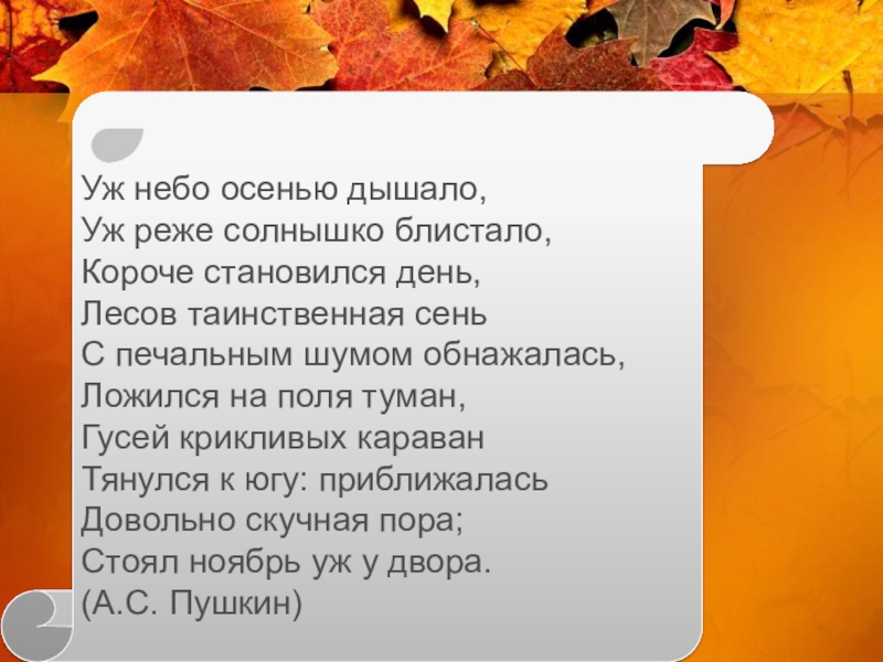 Уж небо осенью дышало уж реже. Уж небо осенью дышало. Уж реже солнышко блистало. Уж небо осенью дышало уж реже солнышко блистало короче становился. Уж небо осенью дышало короче становился день.