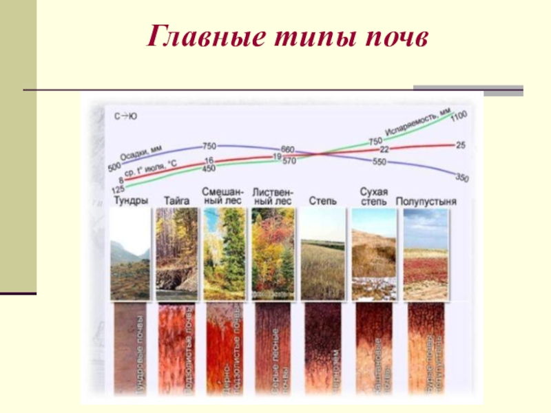 Главные типы почв таблица география 8 класс. Главные типы почв России 6 класс. Типы почв география. Главные зональные типы почв. Главные зональные типы почв России.