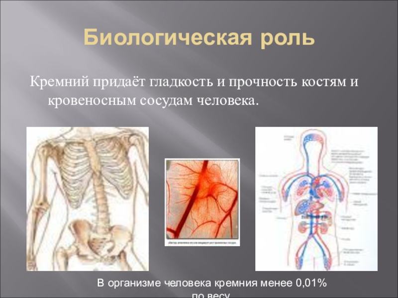 Придает прочность. Придает прочность и гладкость костям человека. Функции кремния в организме человека. Роль кремния в жизни человека. Кремниевое тело человека.