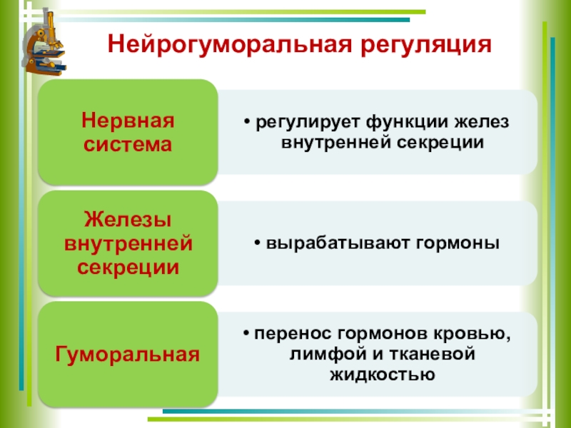 Презентация нейрогуморальная регуляция 6 класс пасечник линия жизни