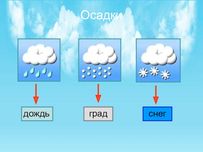 Заполните схему атмосферные осадки осаждающиеся из воздуха выпадающие из облаков