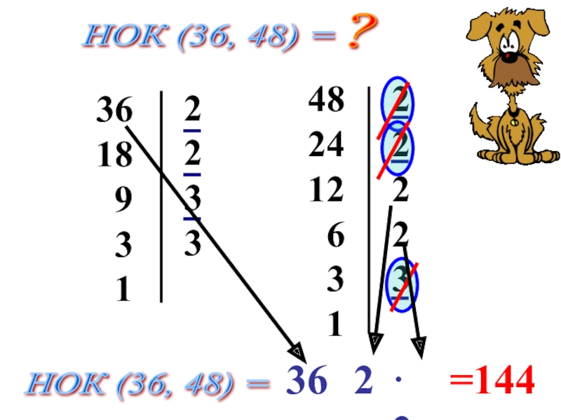 Нок 36 и 48