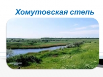 Презентация к уроку окружающий мир в 4 классе Хомутовская степь