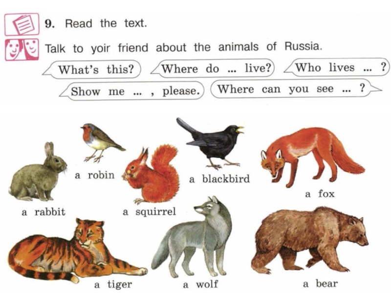 Английский 3 класс животные перевод. Животные России на английском языке. Животные которые живут в России на английском. Животные России на английском языке с переводом. Проект animals of Russia.