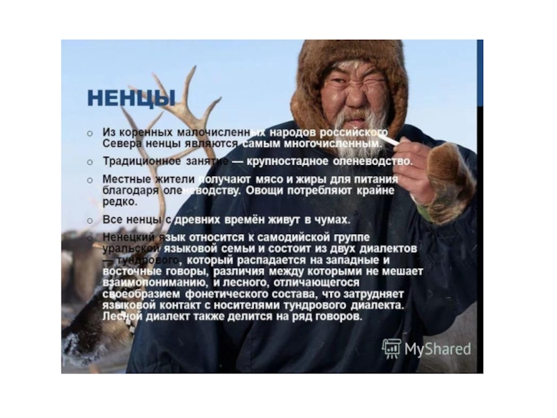 Самым северным народом является. Народы севера список. Проблемы коренных народов. Диалекты народов севера. Ненцы территория проживания.