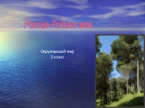 Презентация к уроку окружающий мир 3 класс