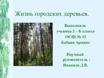 Проект  Жизнь городских растений