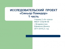 Презентация исследовательского проекта Синьор - Помидор 1 часть