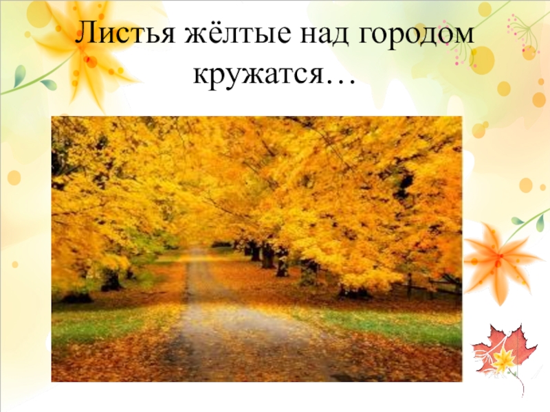 Листья желтые оригинал слушать. Желтые листочки кружатся. Листья над городом кружатся. Листья жёлтые над городом. Песня листья жёлтые над городом.