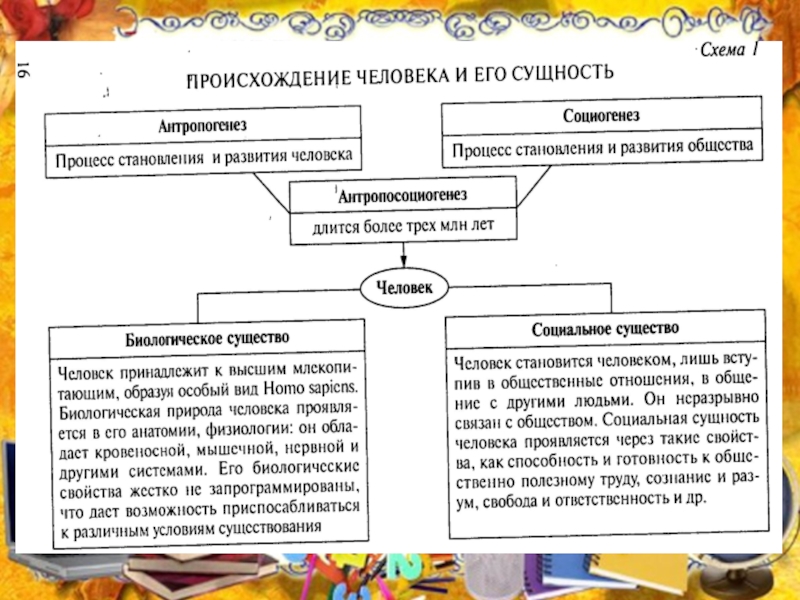 Реферат: Антропосоциогенез в философии биологическое и социальное в человеке