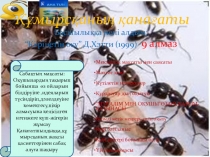 Сабақтың тақырыбы: Құмырсқаның қанағаты