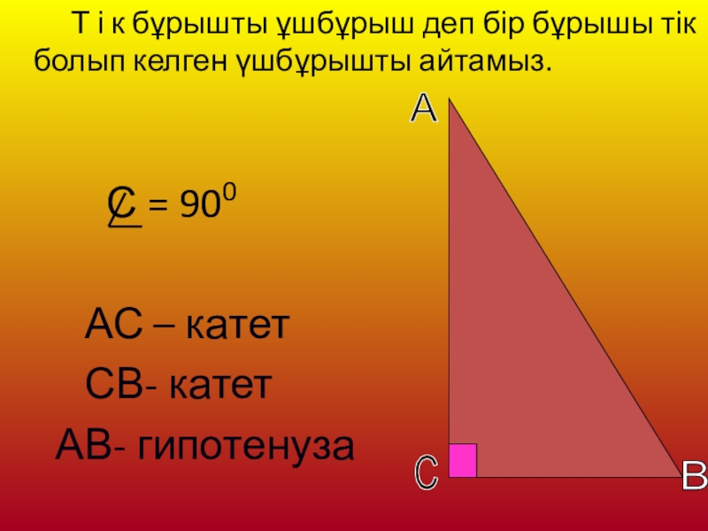 Үшбұрыш түрлері