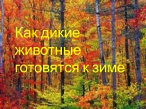 Презентация к занятию Как дикие животные готовятся к зиме