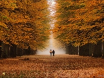 Презентация классного часа ко дню пожилого человека