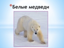 Презентация по художественной деятельности Белые медведи