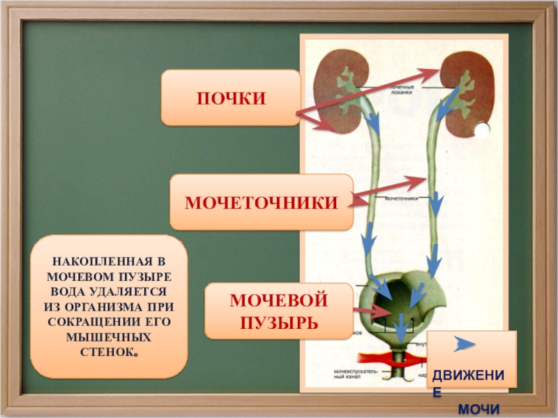 Город мастеров 3 класс гармония презентация