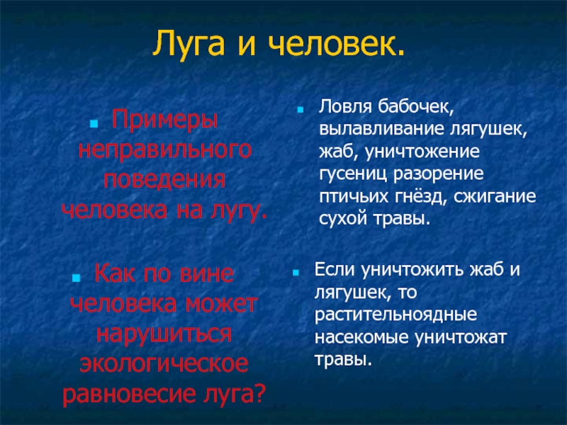 Охрана луга. Влияние человека на луг. Влияние человека на сообщество Луга. Презентация на тему Луга и человек. Охрана Луга презентация.