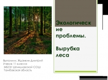 Презентация по географии на тему Экологические проблемы. Вырубка леса