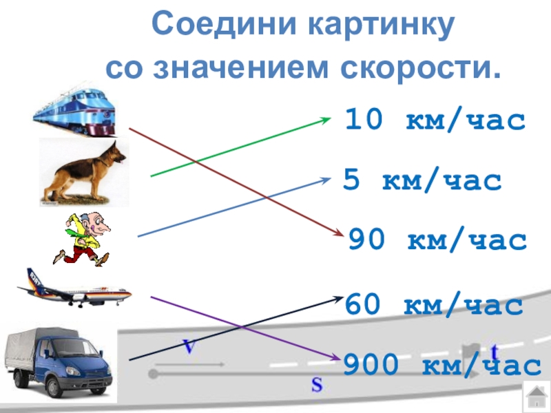 Виды транспорта в порядке увеличения их скорости. Сравнение скорости. Скорость животных. Скорость разных животных. Скорости различных объектов.