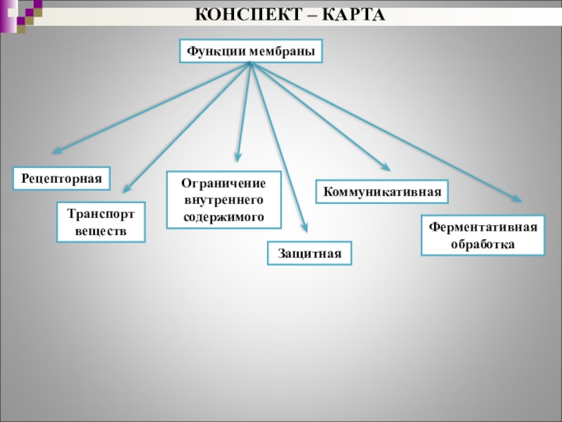 Обработка конспектов. Конспект карта. Функции карты.