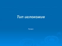Презентация по теме Иглокожие