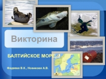Презентация к уроку 8 класс -Игра Балтийское море