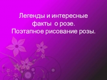 Легенды и интересные факты о розе. Поэтапное рисование розы.