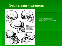Эволюция человека