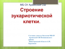 Презентация по биологии на тему Строение эукариотической клетки 9 класс