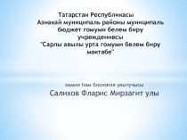 Открытый урок по теме