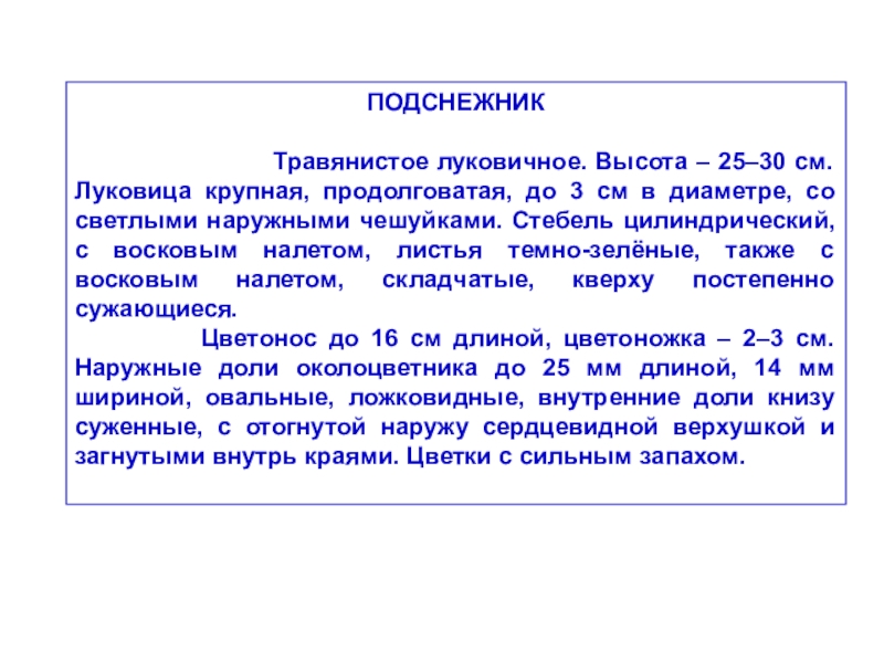 Описание 3. Сочинение про Подснежник 3 класс. Сочинение про Подснежник 4 класс. Сочинение описание подснежника для 3 класса. Сочинение на тему Подснежник для 4 класса по русскому языку.