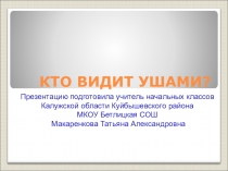 Презентация по внеклассной работе на тему Кто видит ушами (3 класс)