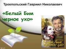 Презентация по литературе по произведению Г.Троепольского Белый Бим Черное Ухо