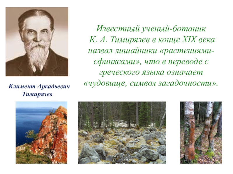 Почему ученому. Тимирязев Климент Аркадьевич лишайник. Известный ботаник. Выдающиеся ученые ботаники. Ботаник известный ученый.