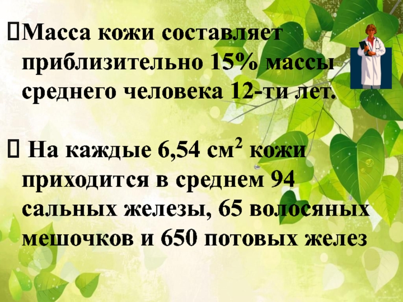 Вес кожи. Презентация кожа зеркало здоровья. Масса кожи человека составляет. Проект по биологии презентация кожа зеркало здоровья. Кожа зеркало здоровья проект.