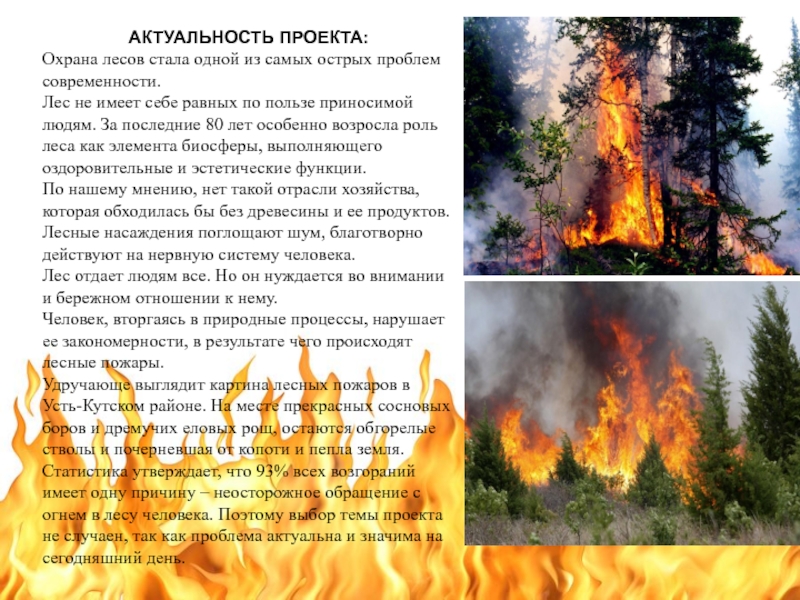 Лесной пожар задачи. Охрана лесов от пожаров. Лесные пожары проект. Доклад на тему пожар в лесу. Проект на тему Лесные пожары.