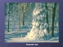 Презентация Приставки и предлоги