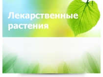 Презентация к внеурочному занятию Лекарственные растения 2 класс
