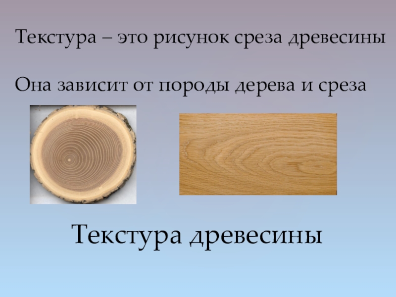 Как называется рисунок на срезе древесины получающийся при пересечении годичных колец