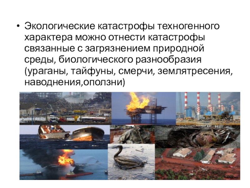 Недавние экологические катастрофы в россии 2023. Недавно эклогические котострофы. Техногенные экологические катастрофы.