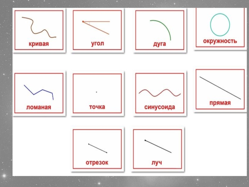 Точка прямая кривая. Прямая кривая ломаная. Линии прямая кривая ломаная. Виды линий задание. Виды кривых линий в математике.