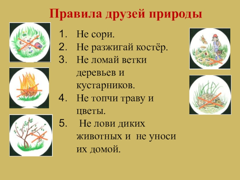 Презентация охрана природы весной 2 класс презентация перспектива