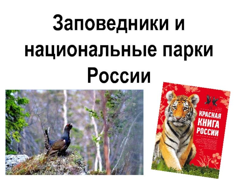 Цель проекта заповедники и национальные парки россии