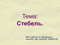 Презентация к уроку познания мира.Тема: Стебель