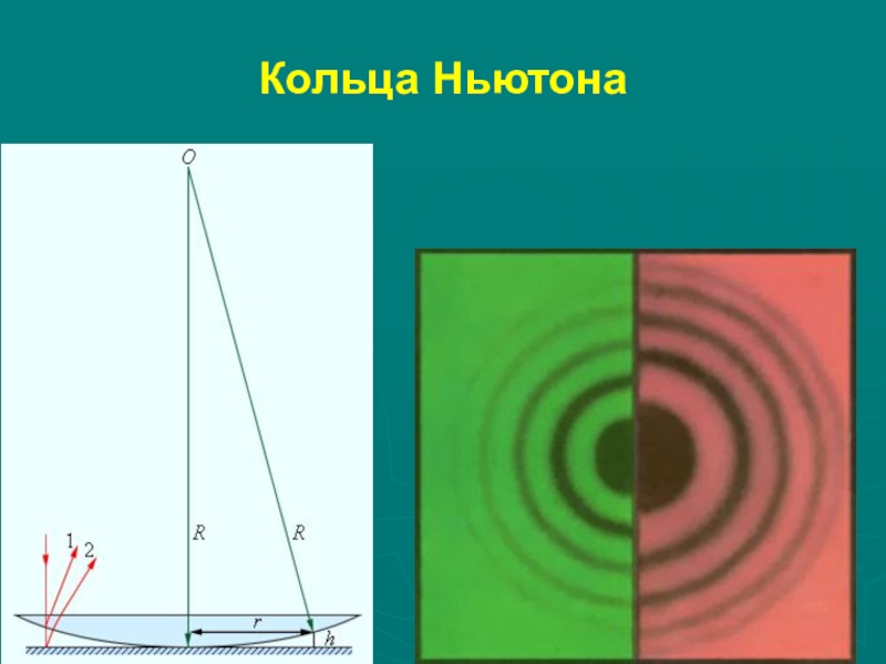 Презентация кольца ньютона