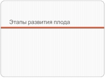 Презентация-проект: этапы развития плода человека