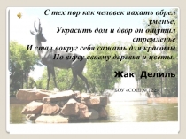 6 класс Презентация Омск -город сад